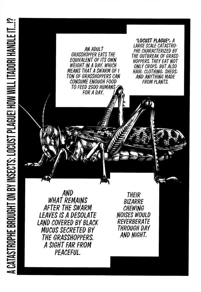 Jujutsu Kaisen, Chapter 87
